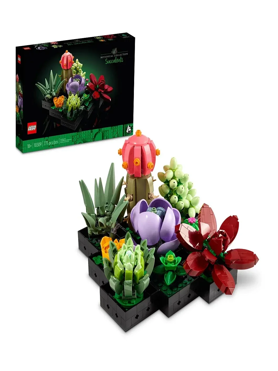 Set de Construccion Succulents Icons