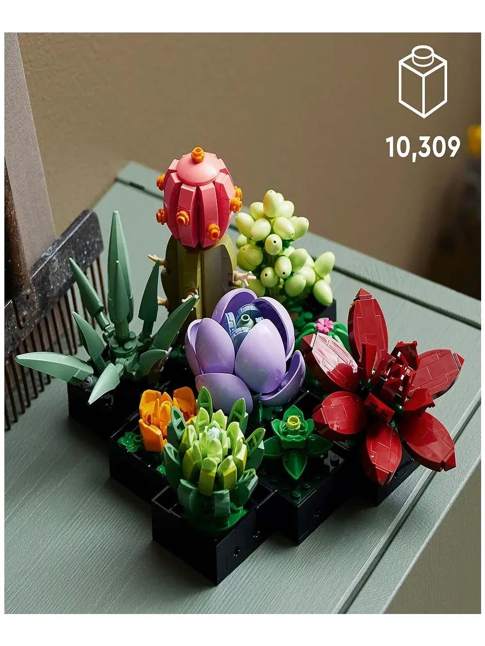 Set de Construccion Succulents Icons - imagen 3