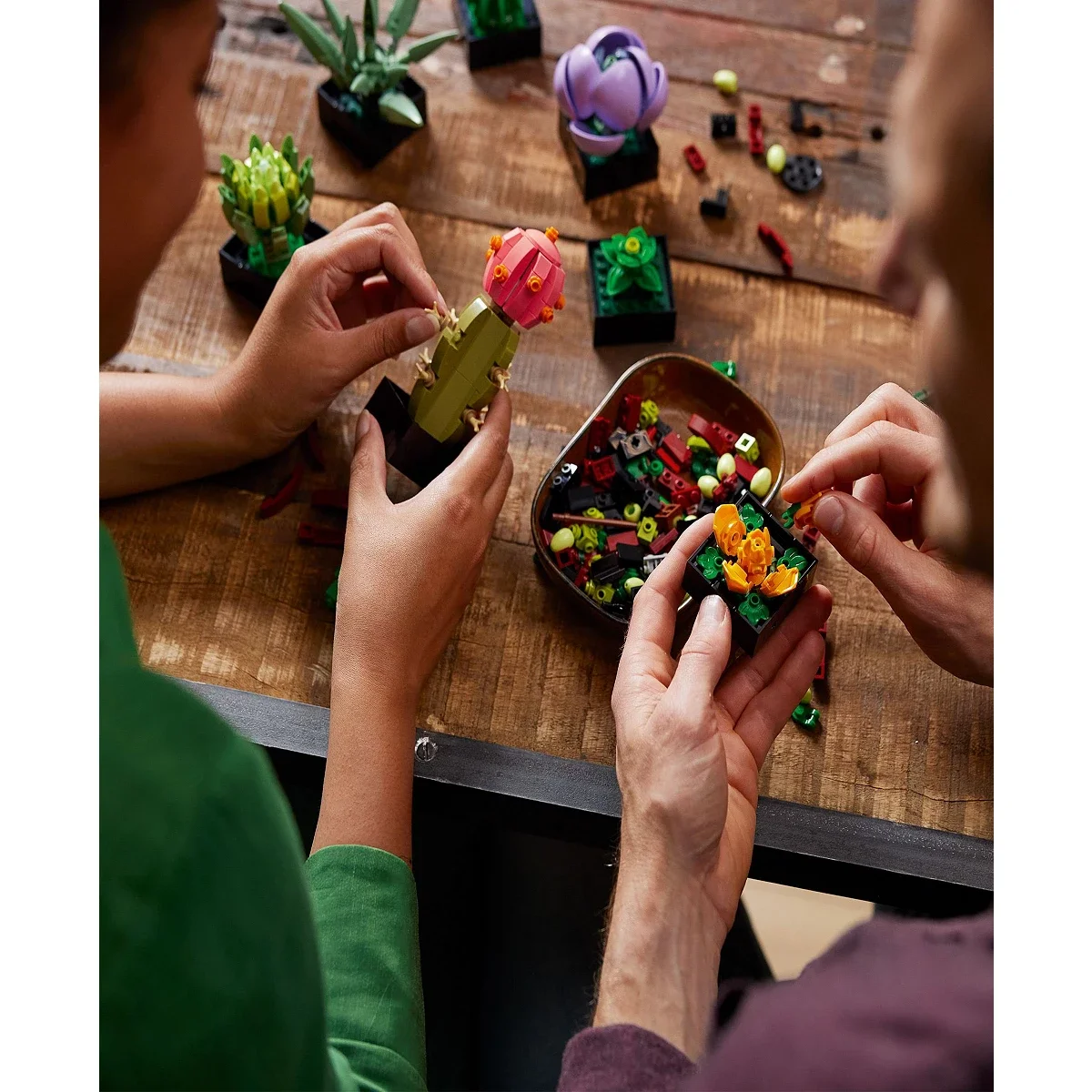 Set de Construccion Succulents Icons - imagen 6