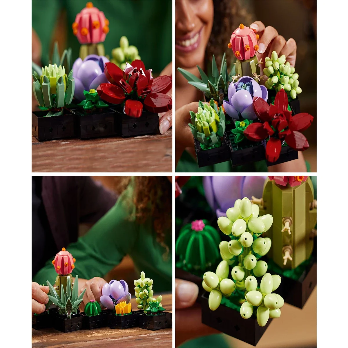Set de Construccion Succulents Icons - imagen 5