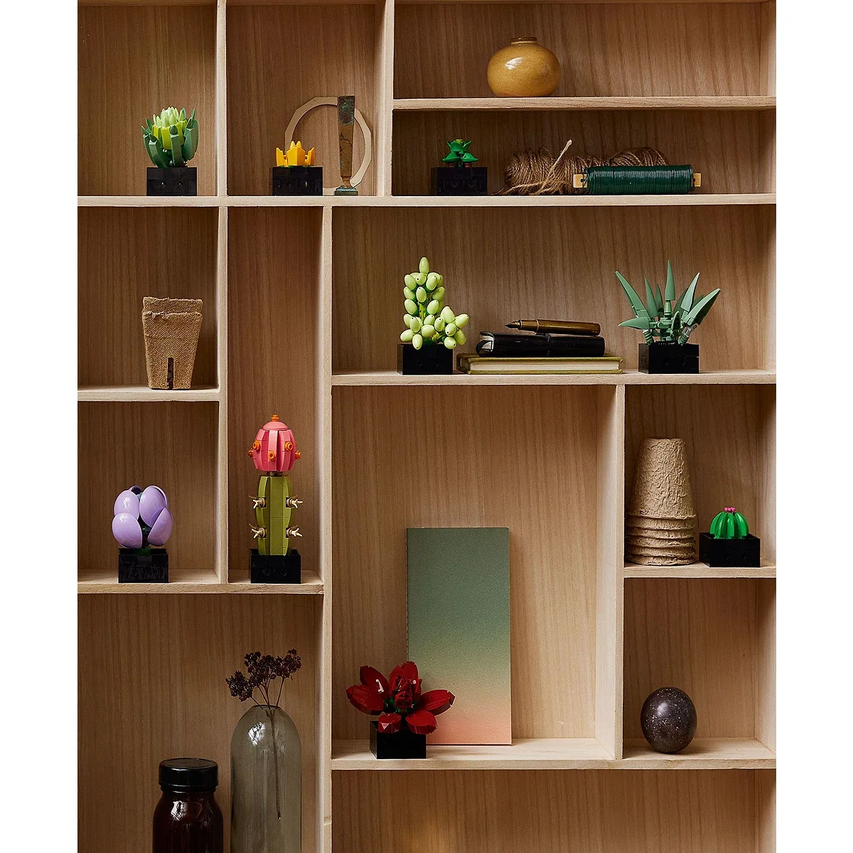 Set de Construccion Succulents Icons - imagen 4