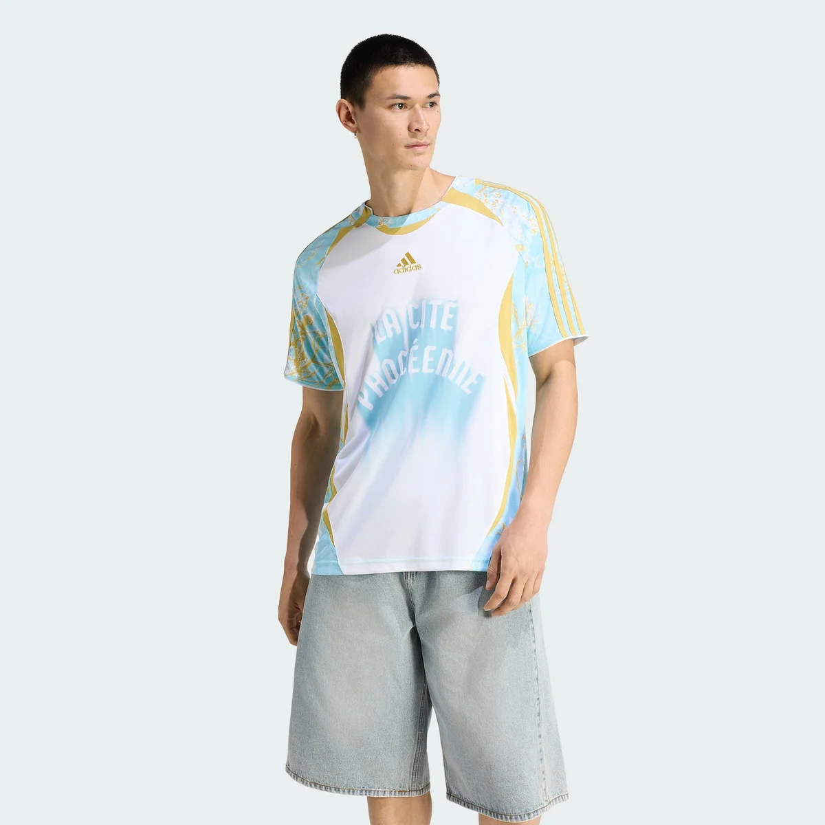 Camiseta Gráfica France